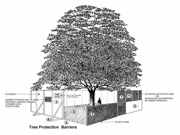 Tree Protection Barrier