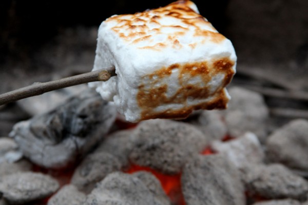 Toasted Marshmallow Square