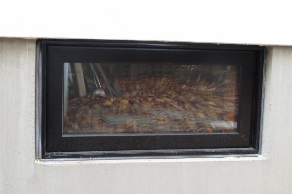 Basement window